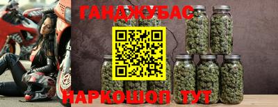 гашик Моздок