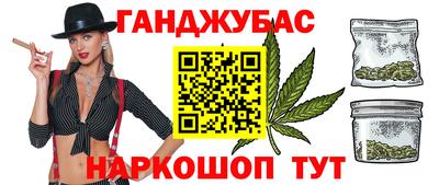 гашик Моздок