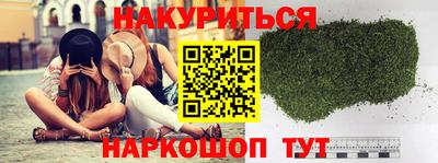 гашик Моздок