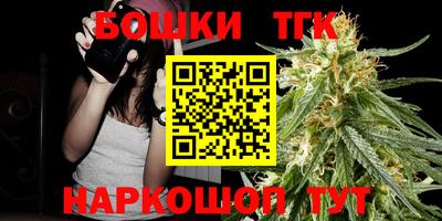 гашик Моздок