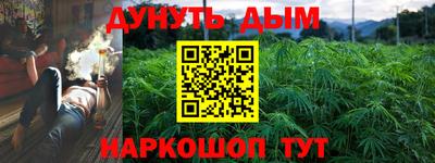 гашик Моздок