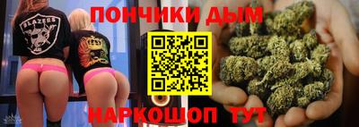 гашик Моздок