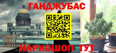 гашик Моздок