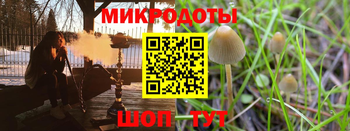 Псилоцибиновые грибы мухоморы Сунжа