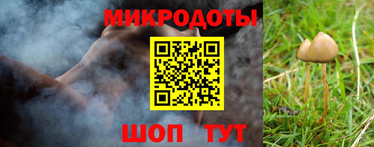 Сунжа  Галлюциногенные грибы Psilocybine cubensis  Псилоцибиновые грибы ЛСД  Вход с VPN 