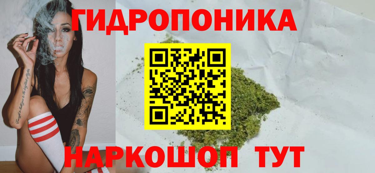Сунжа  Марихуана SATIVA & INDICA  Вход с VPN  Каннабис ГИДРОПОН  Каннабис Bruce Banner  Марихуана Ganja 