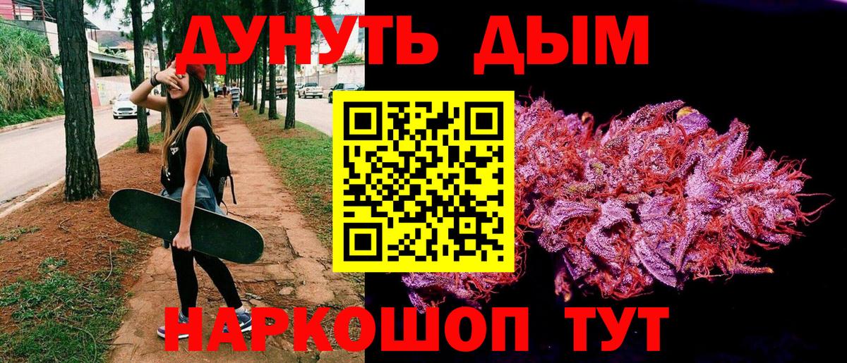 МАРИХУАНА план Сунжа